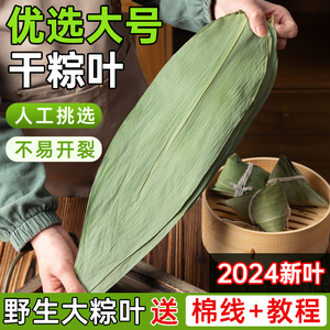 干粽叶特大号粽子叶免邮新鲜麻竹叶商家用箬叶批发包粽子材料送绳