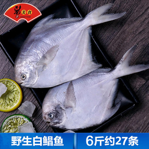 白鲳鱼22条 新鲜冷冻小鲳鱼银鲳鱼 烧烤平鱼扁鱼海鲜水产商用食材