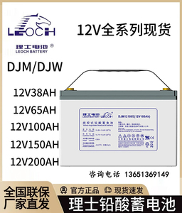 理士 铅酸免维护蓄电池 DJM12100S电瓶12V38AH100安时65配UPS电源