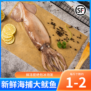 新鲜大鱿鱼整只3斤海鲜冷冻生鲜鲜活烧烤专用冰冻乌贼大章鱼
