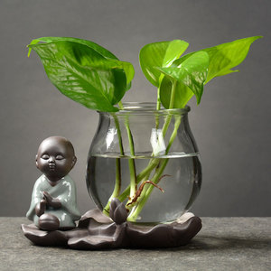 创意绿萝水培植物玻璃透明养花花瓶插花容器花盆器皿桌面装饰摆件