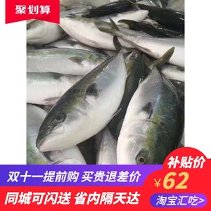 平政鱼 淘宝拼多多热销平政鱼货源拿货 阿里巴巴货源