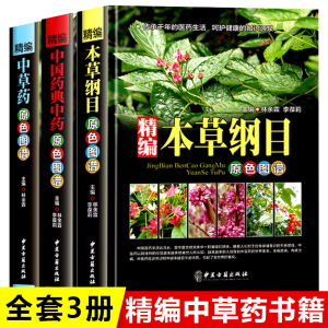 中医书籍大全3册 中国药典 中药中草药百科全书 本草纲目原版全套李时珍图谱彩图版图解书入门零基础学医养生调理医药药书自学医书