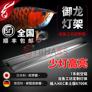 台湾御龙国际灯架兔巴何龙鱼工坊定制型日本本土NEC植入顺丰包邮