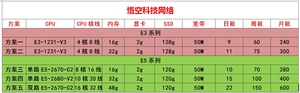 方案五 远程电脑出租E3E5单路双路模拟器cf 虚拟机多开服务器租机