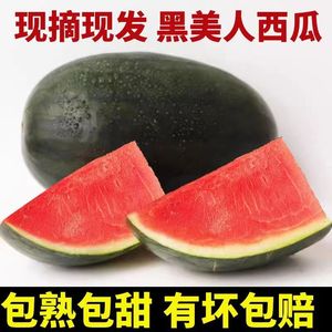 新鲜黑美人西瓜新鲜水果应季爆甜品种5-10斤产地直发黑籽红肉包甜