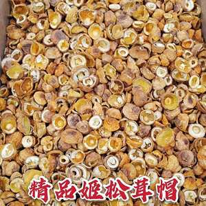 姬松茸干货500g无硫精选云南特产巴西菇蘑菇松茸菌菇食用菌香菇类