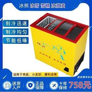 冰熊单体雪糕柜透明存冷饮冰箱家用商用玻璃门迷你小型冷冻冰柜彩