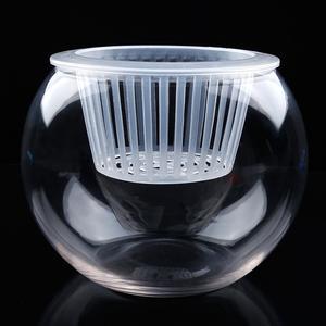 水培绿萝花瓶玻璃透明水培植物玻璃瓶多功能花盆水养圆形鱼缸容器