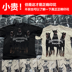 天花板Represent杜宾猎犬三条大恶狗复古水洗做旧男女宽松短袖T恤