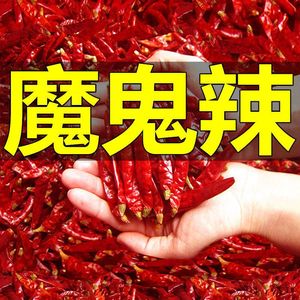 印度魔鬼椒干辣椒超辣特辣特香500g正宗魔鬼辣王段干货磨面磨粉