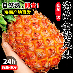 海南金钻凤梨新鲜水果10斤菠萝整箱当季树上熟手撕香水特产甜