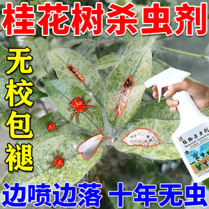 桂花树杀虫剂虫卵双杀药特效水无毒专治蚜虫红蜘蛛介壳虫喷雾杀菌