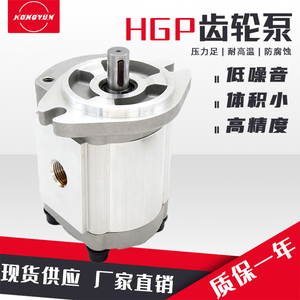 液压齿轮泵油泵HGP-3A-F14/19/23/25/28/30R小型高压油泵大全泵头