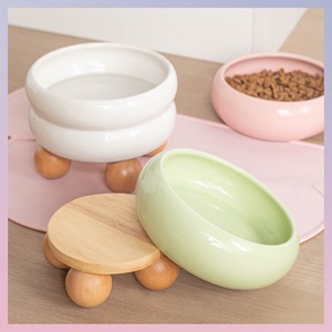 陶瓷猫碗保护颈椎防打翻高颜值奶呼呼圆圈碗中小型犬狗碗食盆水碗