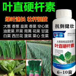 大葱香菜香葱叶直硬杆素 韭菜芹菜白菜菠菜叶面肥抗倒剂控旺增产