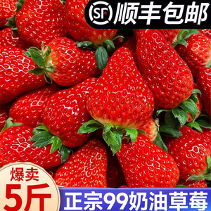 草莓新鲜水果礼盒5斤孕妇红颜奶油九九大99牛奶草莓整箱3顺丰包邮