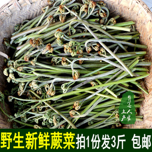 野生新鲜蕨菜 现摘贵州龙爪菜湖南山野菜猫爪菜下饭菜山菜3斤包邮