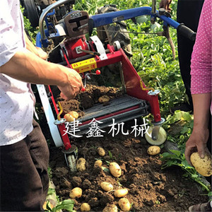 挖洋芋机器图片家用小型土豆收获机红苕起挖机大型红薯地瓜收获机