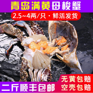 红膏蟹鲜活梭子蟹新鲜母蟹2.5~4两青岛海鲜野生海蟹飞蟹特大螃蟹