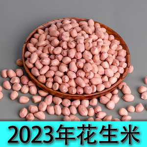 2023年山东新鲜生花生米花生仁养胃大粒去壳晒干五斤榨油小粒去皮