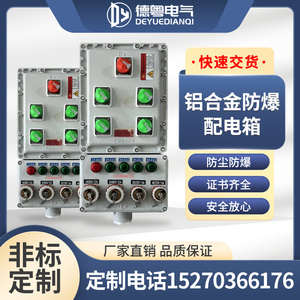 防爆检修插座电源箱控制箱不锈钢检修箱配电箱ExdIIBT4 IP66  WF2