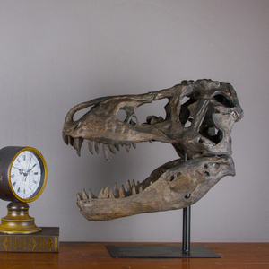 恐龙犀牛鳄鱼剑齿虎动物头骨仿真化石标本摆件教学道具工艺品