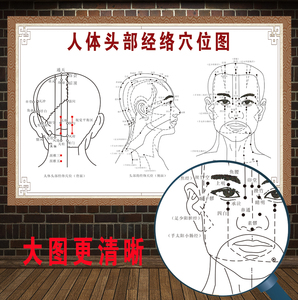 人体经络穴位大挂图针灸艾灸头颈部中医养生保健按摩海报墙贴挂画