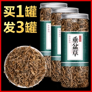 3瓶 |  垂盆草 垂盆植物干货食用泡茶中药材