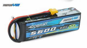 V2新款 Cobra 14.8V 5600毫安 60C 锂电池 1:6短卡 大R 1:8越野
