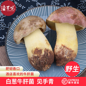 野生白葱牛肝菌黄见手青新鲜野生菌云南特产鲜野生食用牛肝菌500g