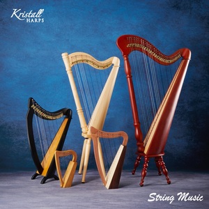 台湾爱尔兰竖琴乐器古典20/28/34/36/40弦专业Harp扳键