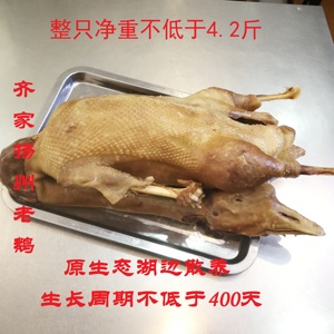 净重4.2斤扬州盐水鹅，特产咸水鹅吃了忘不了齐家老 鹅东关街老鹅