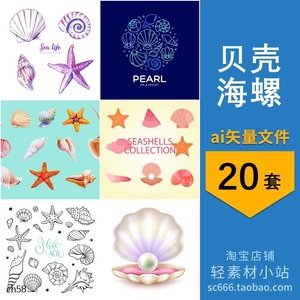 手绘贝壳海螺扇贝海洋简笔画水彩元素插画图片AI矢量设计素材