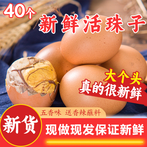 原味活珠子13天新鲜土鸡蛋五香味毛鸡蛋喜蛋凤凰商用香辣开袋即食