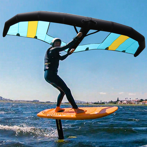 充气风翼无动力水翼板冲浪滑翔翼水上帆板滑板站立SUP桨板fin风筝