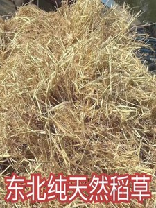 稻草秸秆干稻草填充鸡鸭鹅兔狗垫窝牛羊食料稻壳谷壳稻草纤维装饰