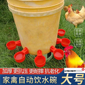 鸡用饮水碗鸽子鹌鹑自动饮水碗饮水器小鸡雏鸡喝水碗鸡鸭鹅饮水器