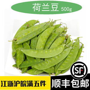 荷兰豆新鲜嫩夹豆500g豌豆小寒豆麦豆荚豆青带荚豆软荚豌豆菜豌豆