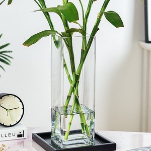 玻璃花瓶方缸客厅透明插花干花方形直筒大号装饰花器水培富贵竹瓶