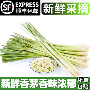 新鲜香茅草食用奶茶店调料泡茶香茅500g泰国冬阴功食材香料柠檬草