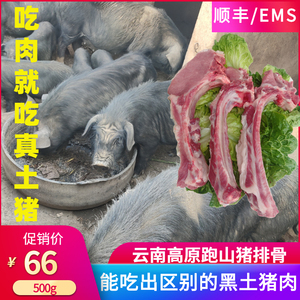 云南跑山猪肋排新鲜高原藏香猪排骨农家深山放养黑土猪肉孕妇食用