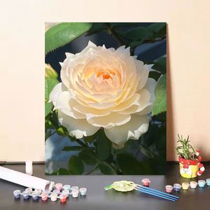 数字油彩画diy手绘涂色填充丙植物花卉蔷薇玫瑰月季花客厅卧室装7