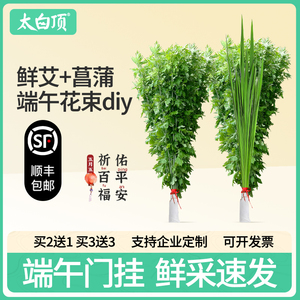 端午节新鲜艾草整棵带杆挂门装饰艾叶菖蒲门挂件diy驱蚊艾蒿花束