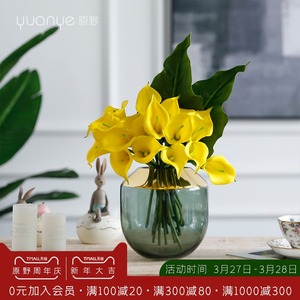 海芋花盆栽 海芋花盆栽品牌 价格 阿里巴巴