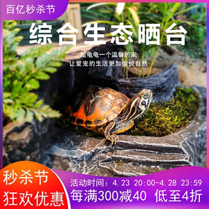 新款乌龟草龟巴西龟晒台水龟种植晒背台爬梯爬台躲避绿植苔藓龟缸