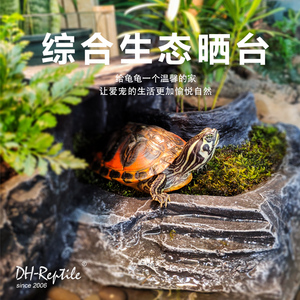 新款乌龟草龟巴西龟晒台水龟种植晒背台爬梯爬台躲避绿植苔藓龟缸