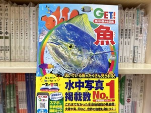 全款 角川の集める図鑑GET! 魚 日本原版鱼类儿童学习绘本合集书