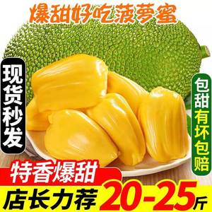 海南三亚菠萝蜜新鲜水果10-40斤应当季黄肉木波罗蜜一整个包邮