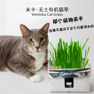 植物杀手福音 未卡无土有机猫草开袋浇水就能活 去毛球猫零食